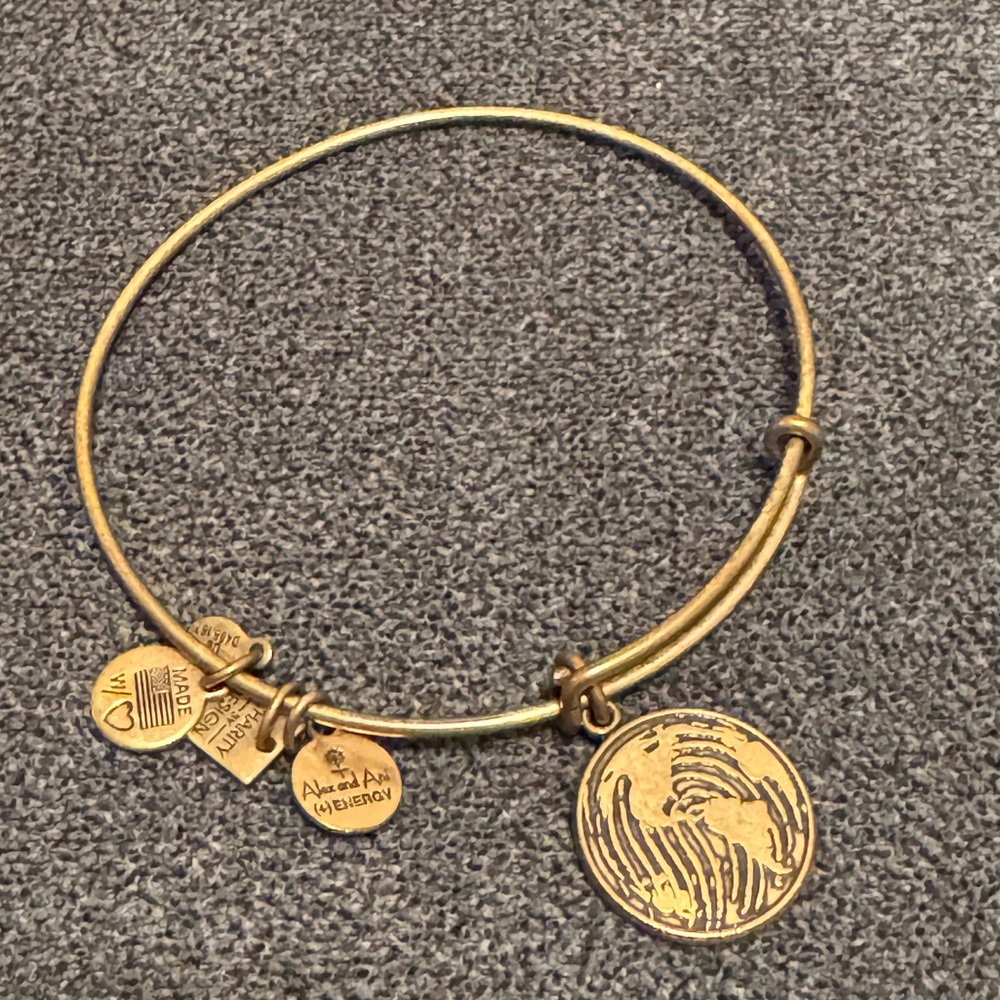 Alex & Ani Thumb Print World Map Bracelet/Bangle